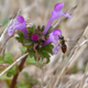 Image for article titled Shooting Challenge: Spring Gallery 2